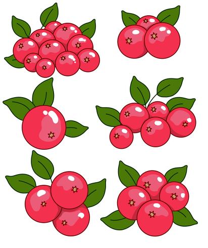 conjunto de ícones do vetor cranberry