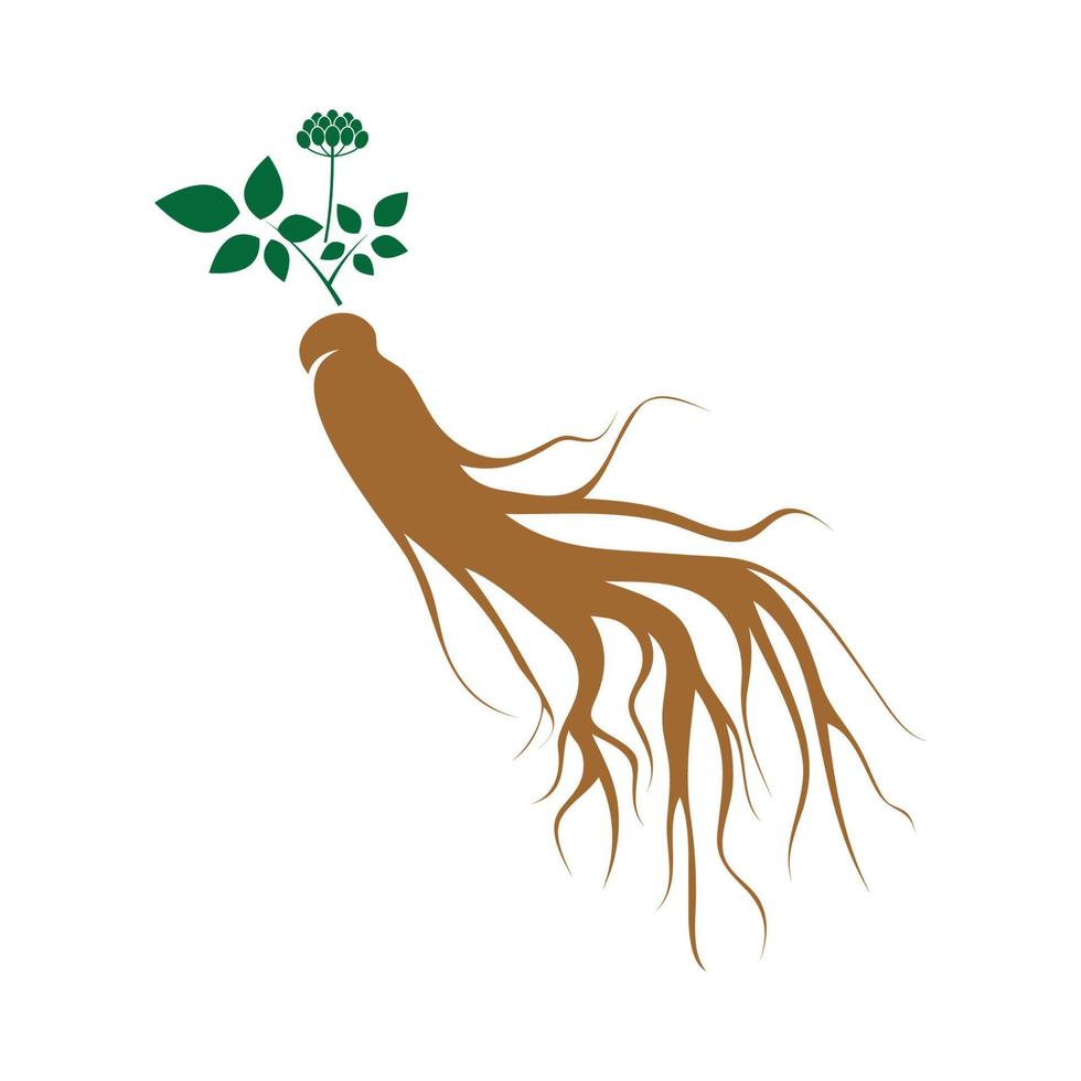 modelo de design de logotipo de ginseng e ícone de símbolo vetor