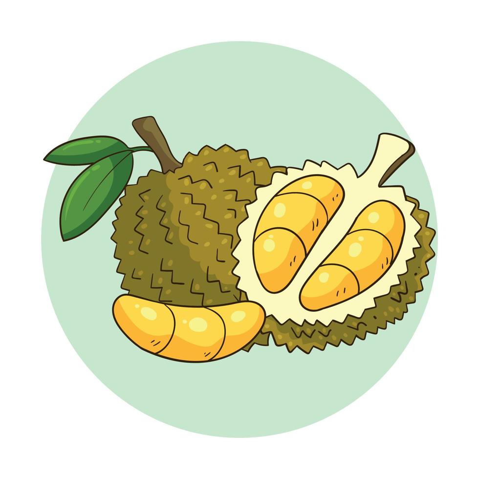 fruta durian desenhada de mão vetor