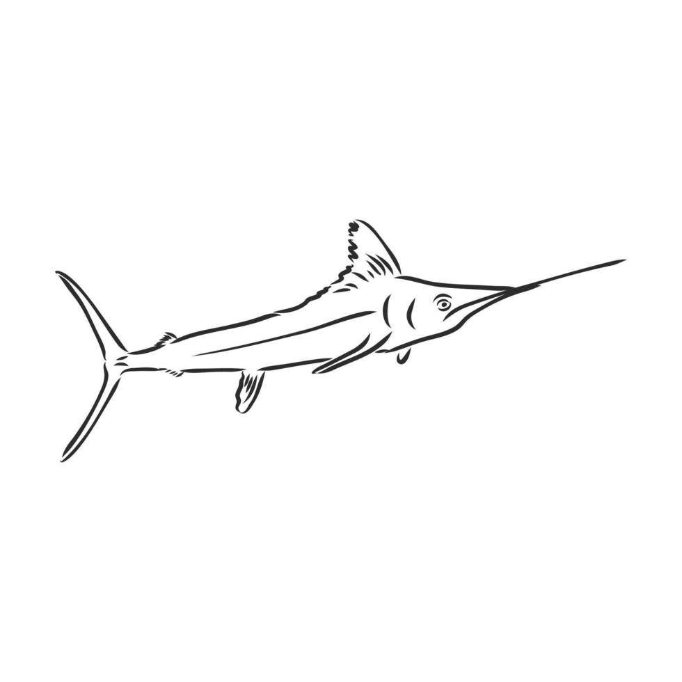 desenho vetorial de peixe-serra vetor
