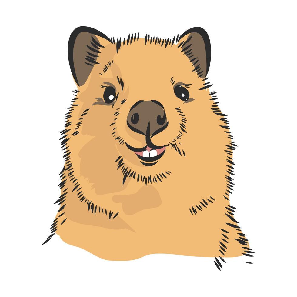 desenho vetorial quokka vetor