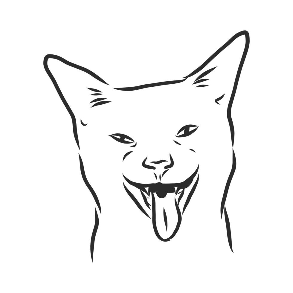 desenho vetorial de gato vetor