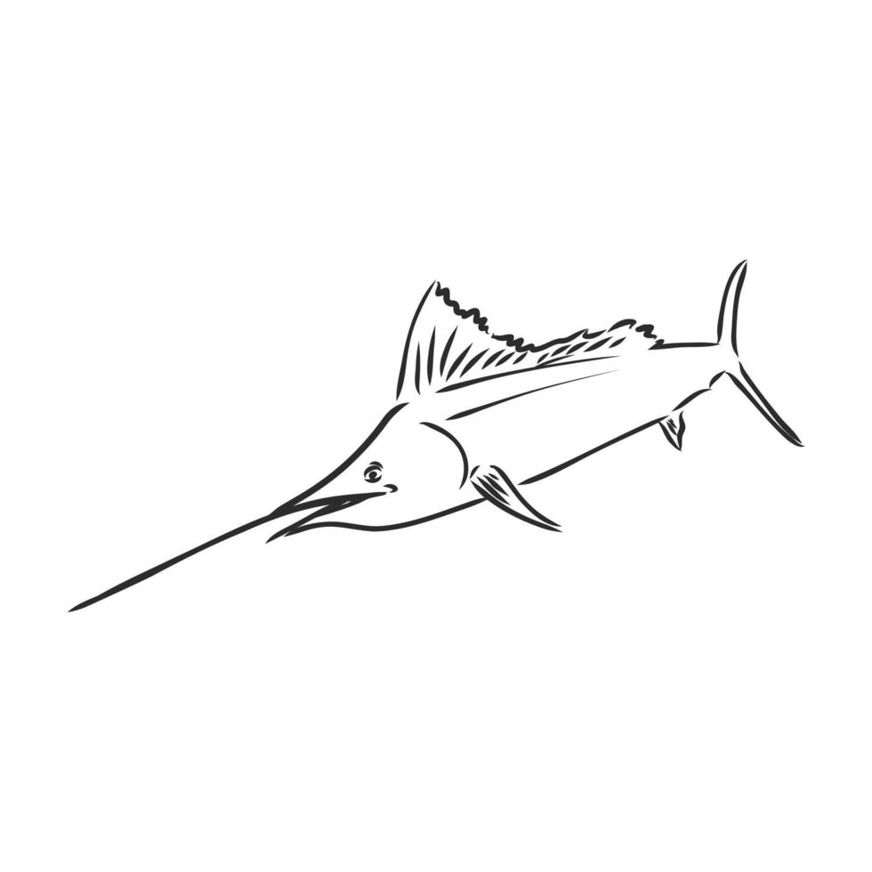 desenho vetorial de peixe-serra vetor