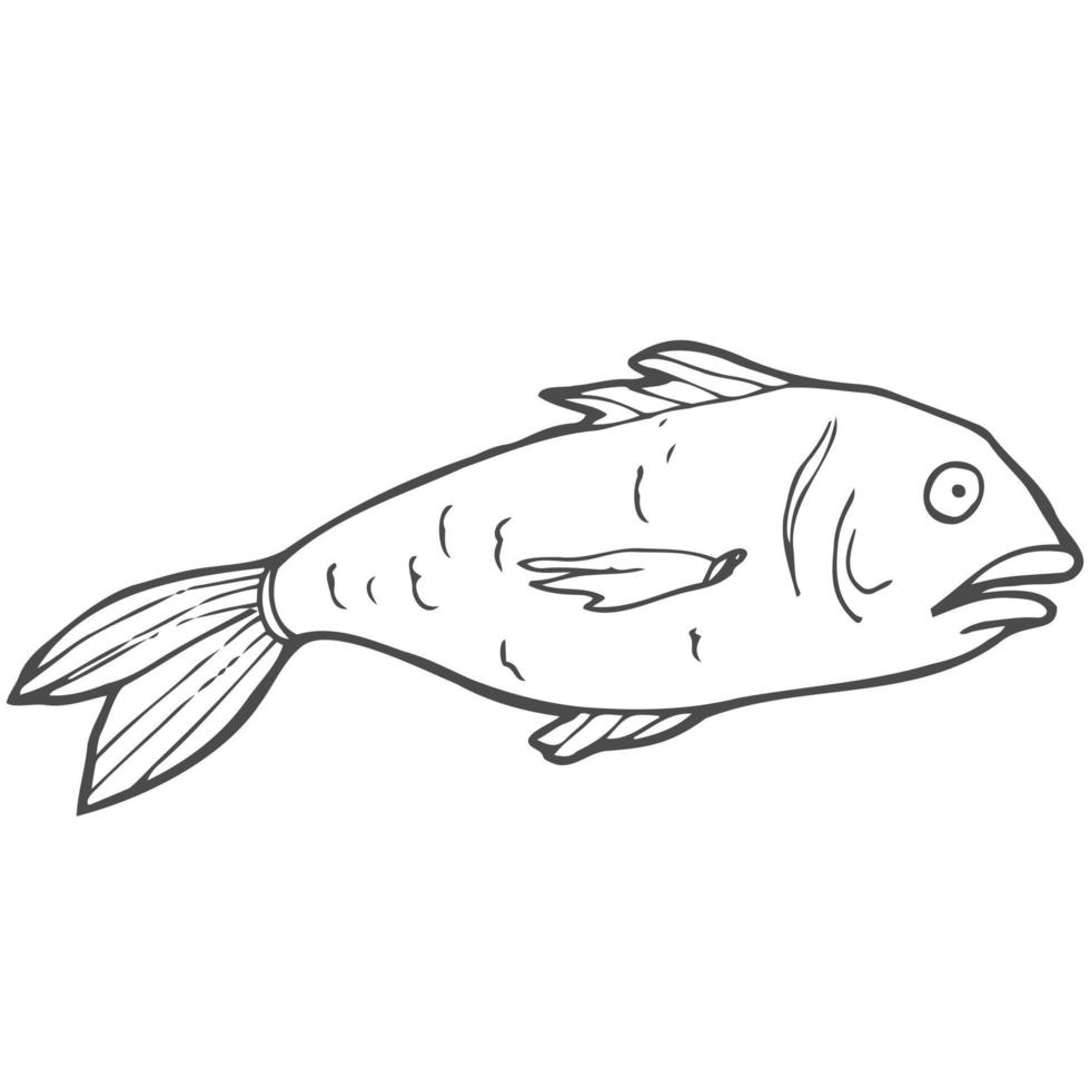 ícone de doodle de contorno desenhado à mão de peixe cru. ilustração vetorial esboço de frutos do mar saudáveis - peixe debaixo d'água para impressão, web, mobile e infográficos isolados no fundo branco. vetor
