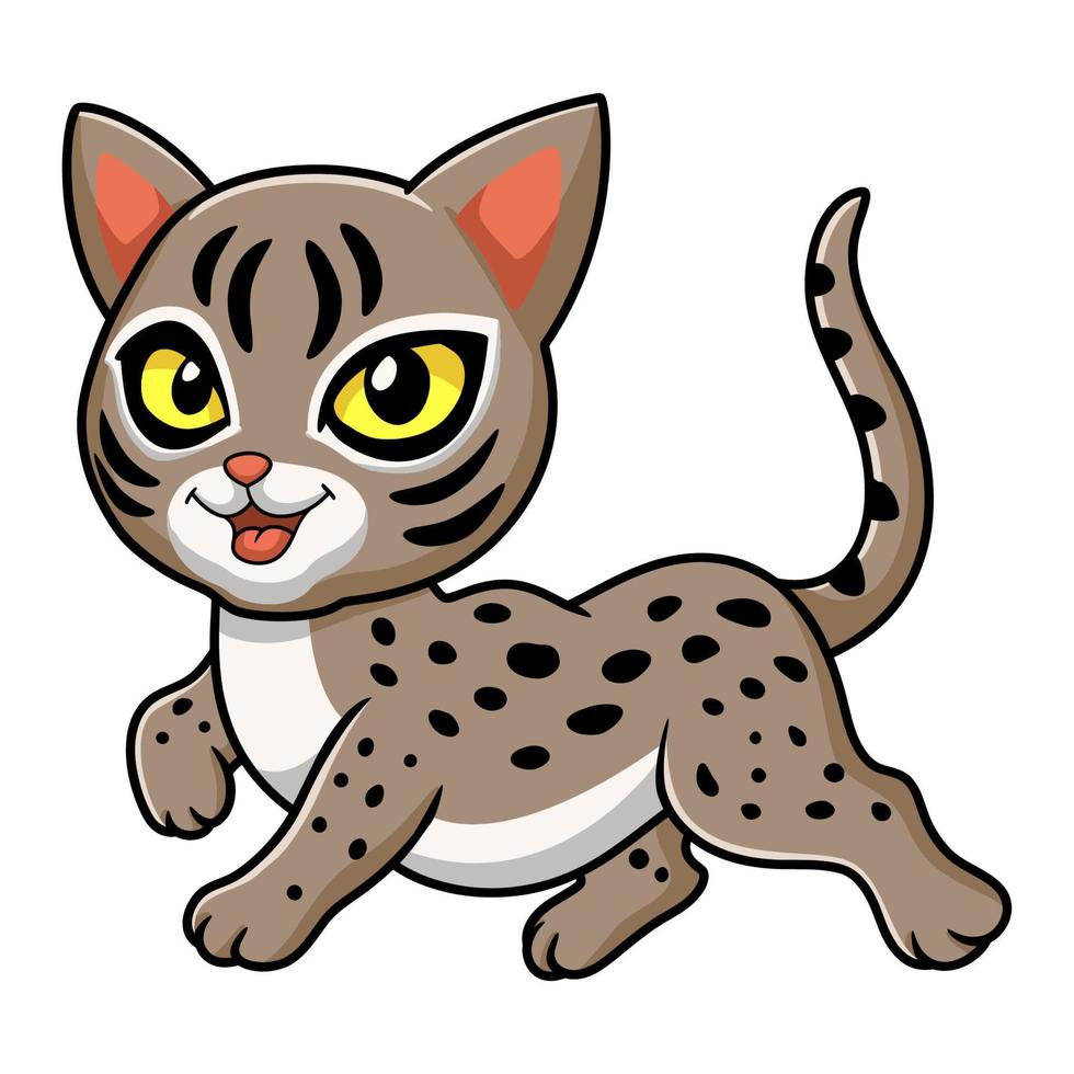 desenho animado de gato ocicat fofo andando vetor