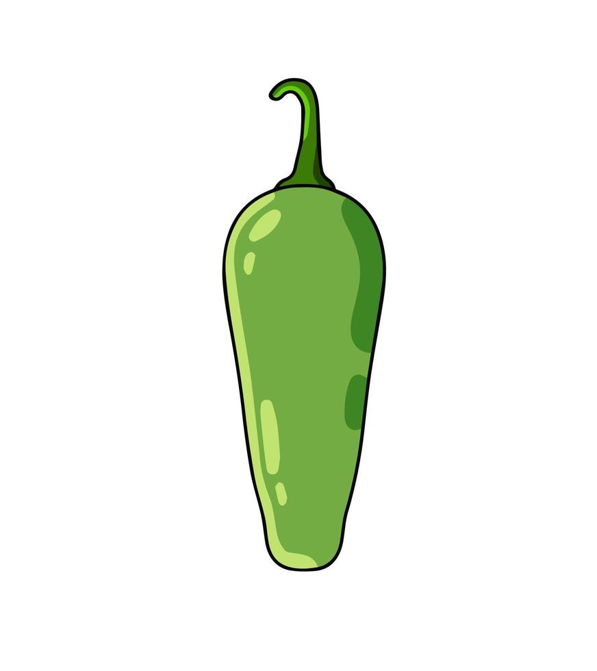 Pimenta jalapeno. pimentão verde picante. comida mexicana. ilustração isolada dos desenhos animados. vetor