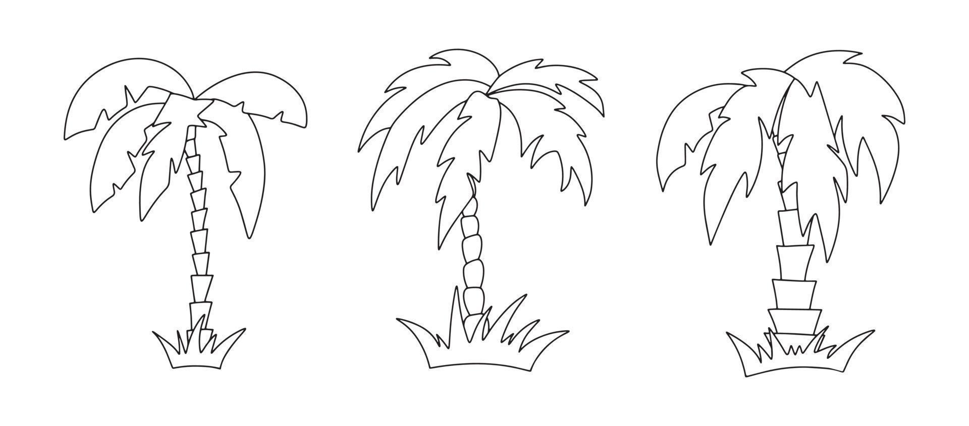 conjunto de gráficos vetoriais de silhueta de linha preta de contorno diferente de palmeira vetor