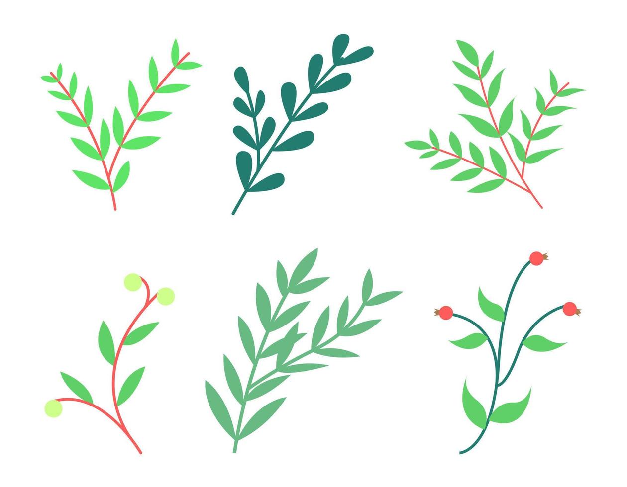 conjunto de caule de planta verde bonito desenhado à mão, ramos florais, elementos de galhos vetor