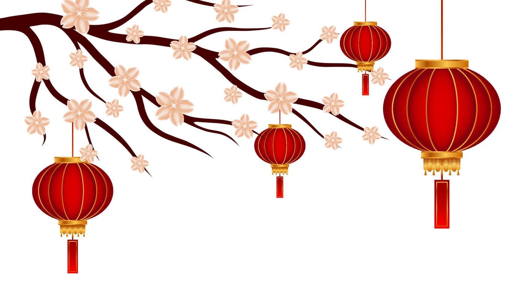 sakura ou ramo de flor de cerejeira e lanterna de lâmpada chinesa em fundo branco. ornamento de design para impressão em cartões, convites vetor