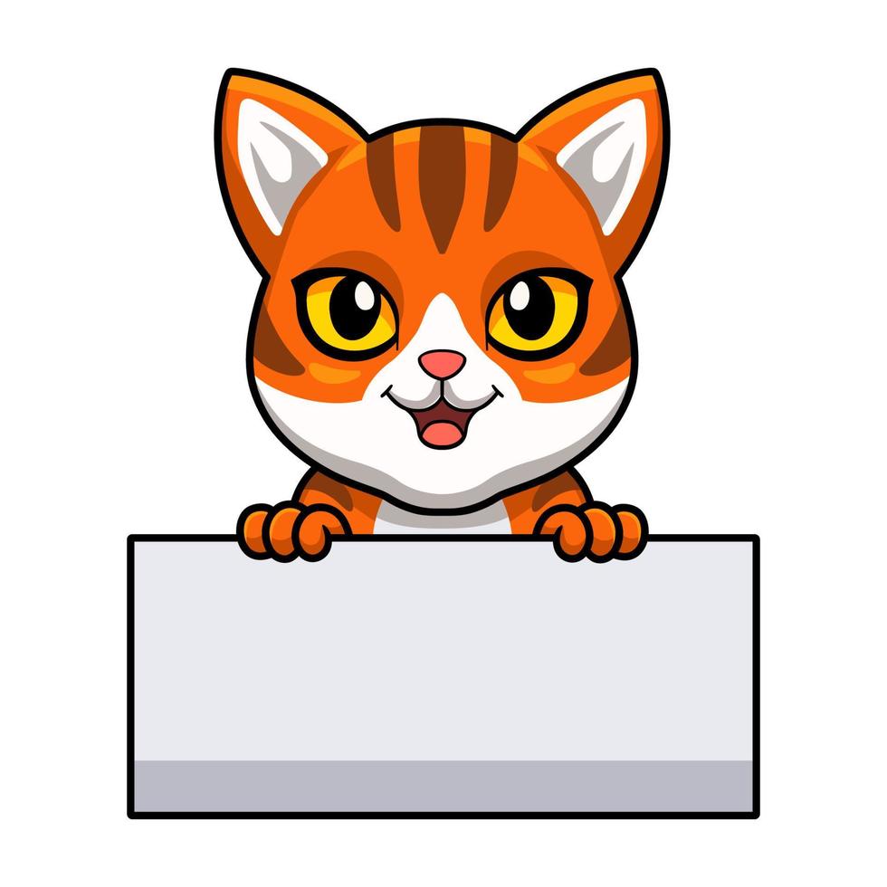 desenho de gato tigrado laranja bonito segurando placa em branco vetor