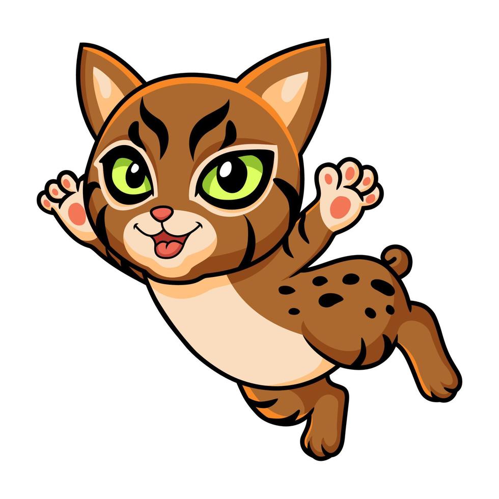 lindo desenho animado de gato pixie bob voando vetor