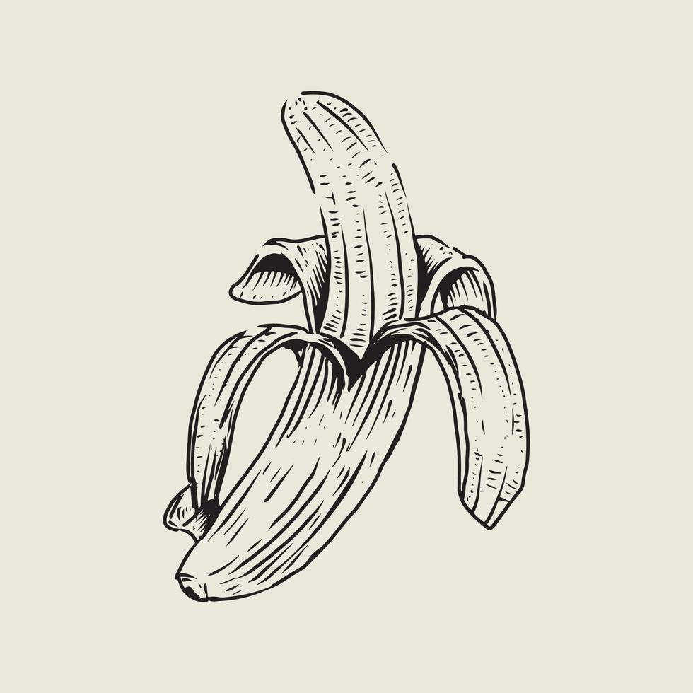 desenho de banana com estilo vintage vetor