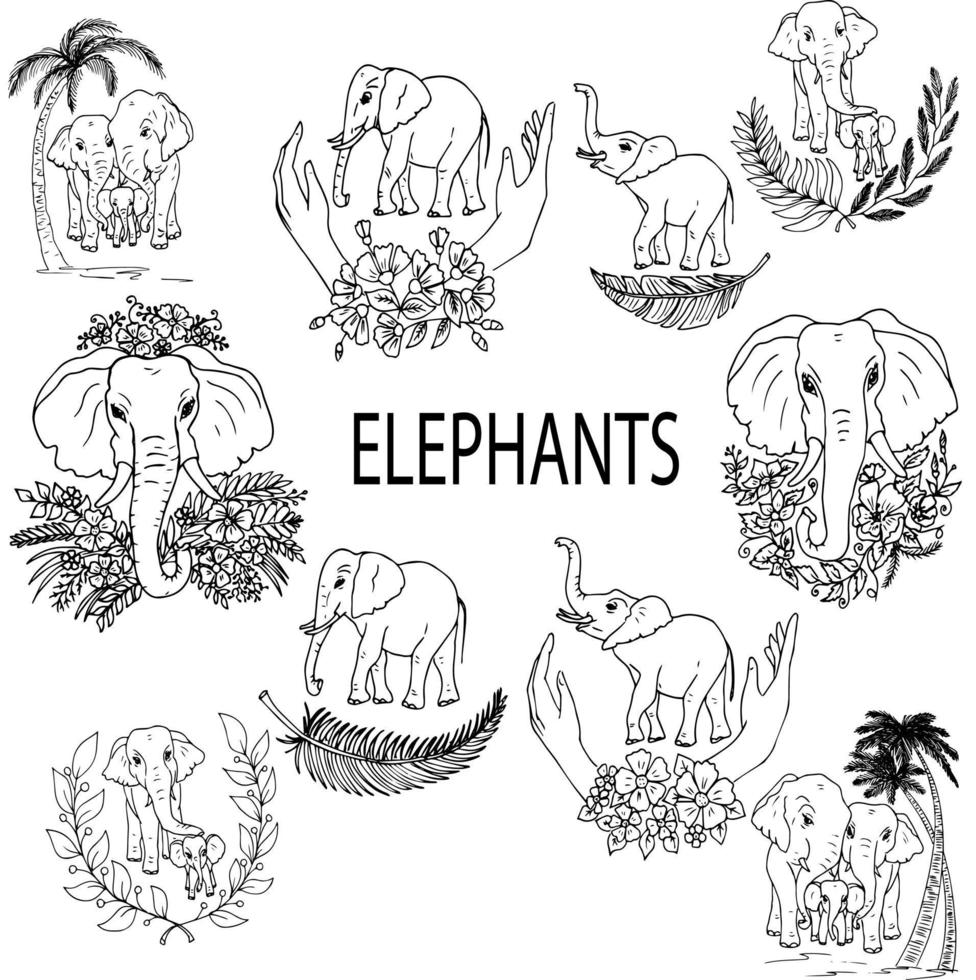 animais fofos família de elefantes desenhando estilo doodle. logotipo de proteção animal de ecologia. vetor