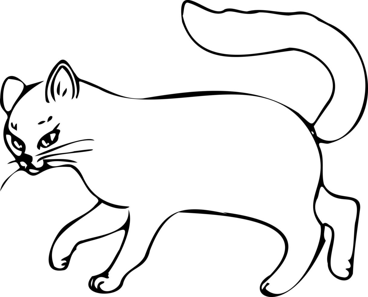 gato animal fofo, sono joga .doodle estilo .children's ilustração livro para colorir. vetor