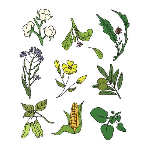 Vetores de Doodle de plantas