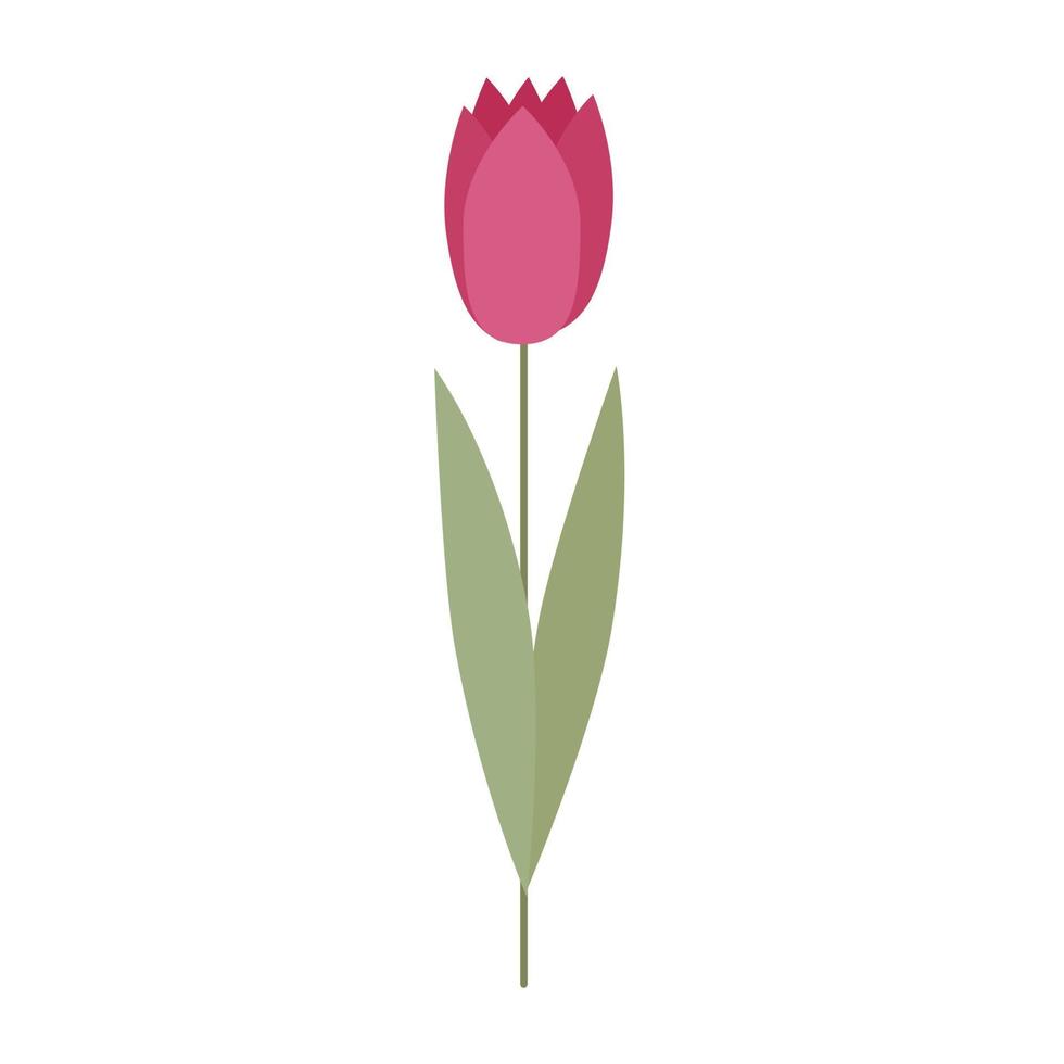 um ícone de uma tulipa rosa decorativa em um fundo branco. linda flor vetorial para decoração de férias de primavera vetor