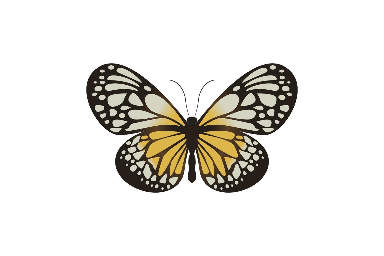 gráfico vetorial de borboleta voadora em uma vista superior isolada no fundo branco. vetor