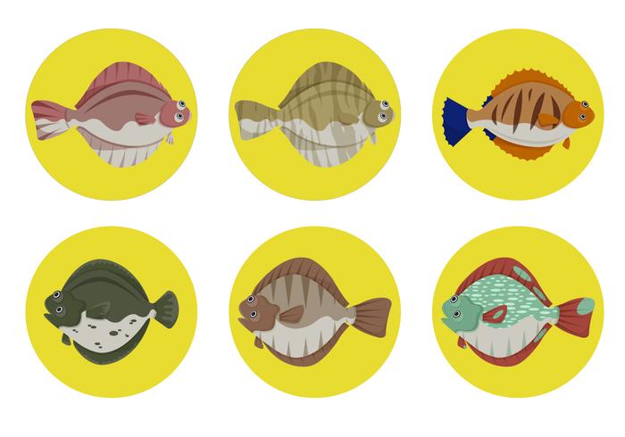 Peixe Flounder Com Coleção Vector Background Background