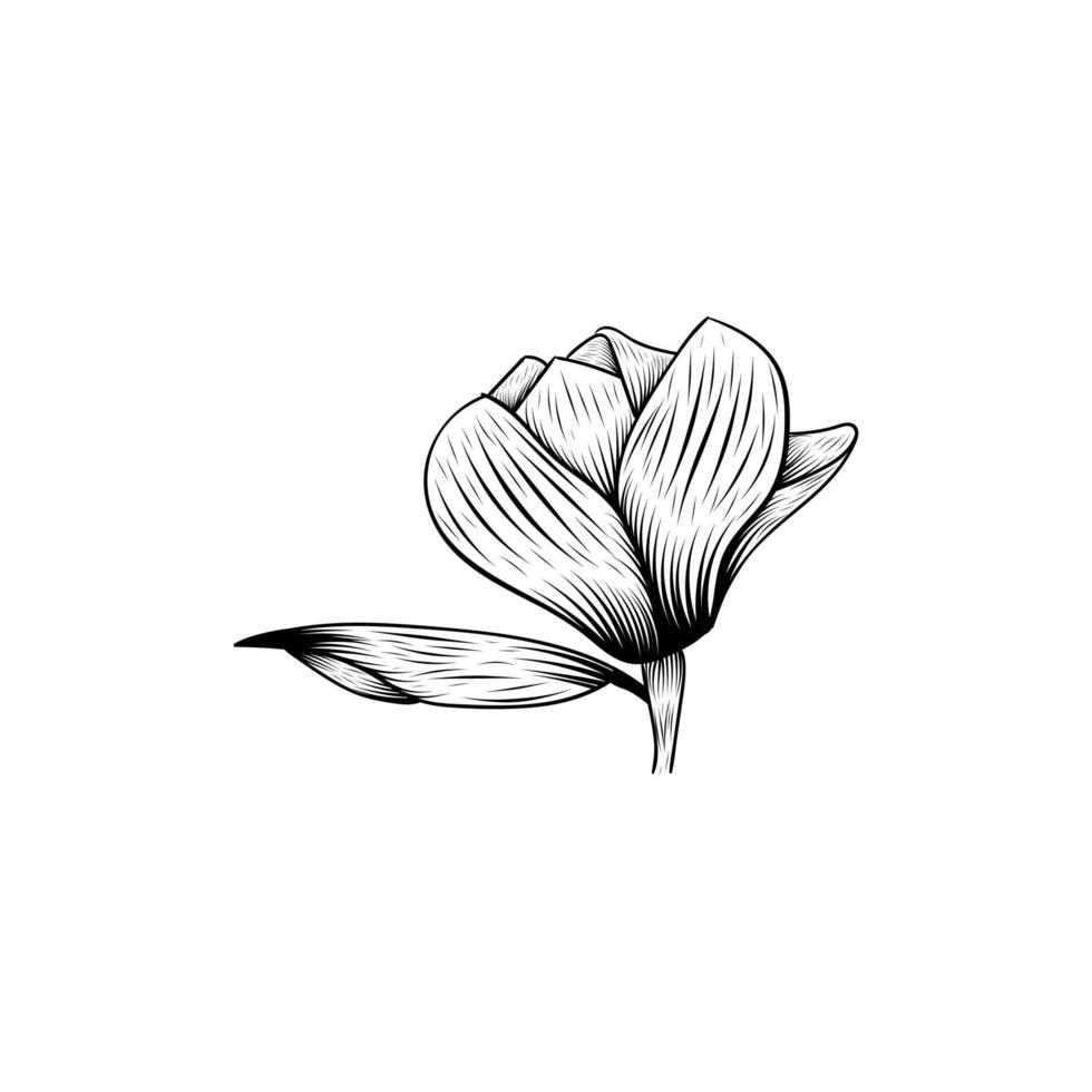 design de ilustração lineart de beleza de flor floral vetor