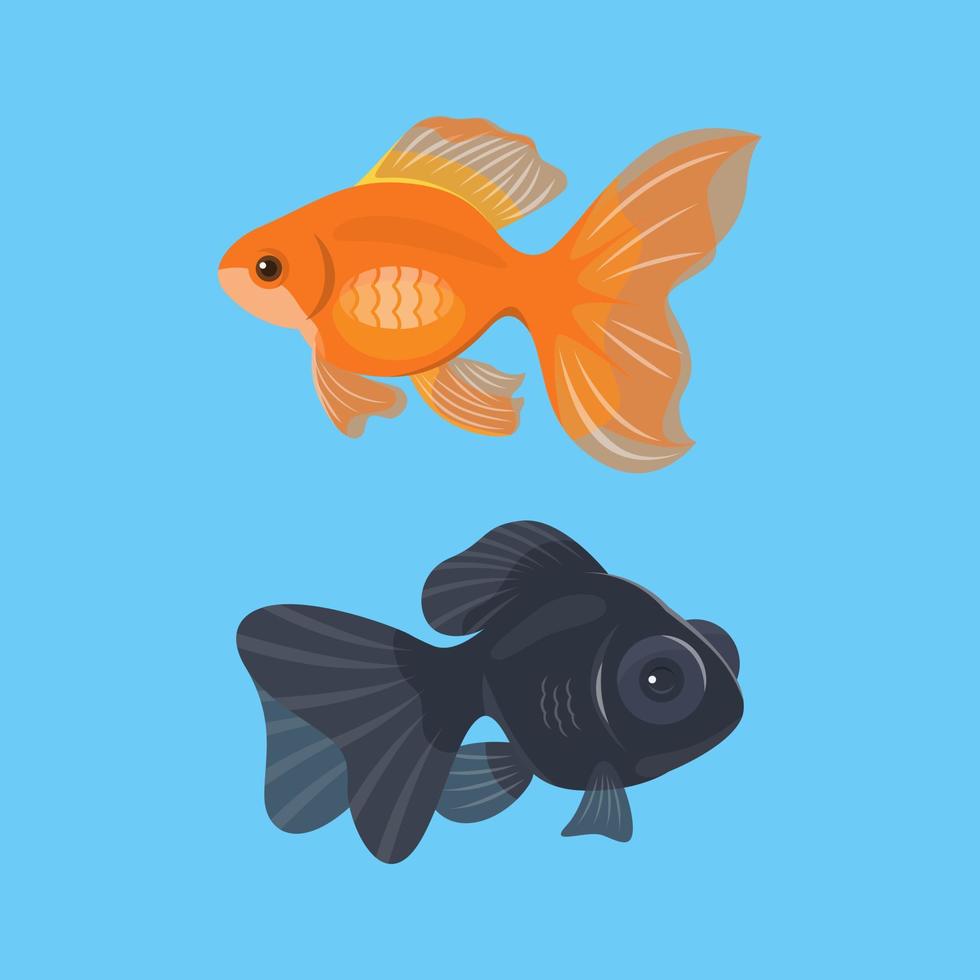 peixinho vermelho e preto em fundo azul vetor
