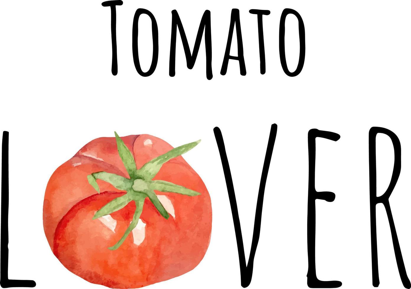 ilustração em aquarela de tomate vermelho. vegetais crus frescos. ilustração de amante de tomate vetor