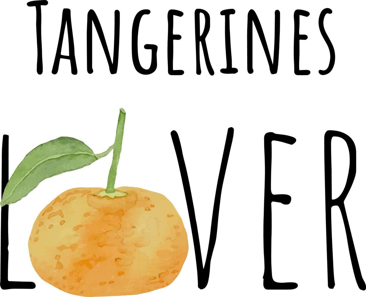 ilustração em aquarela de tangerinas laranja. fruta crua fresca. ilustração de amante de tangerinas vetor