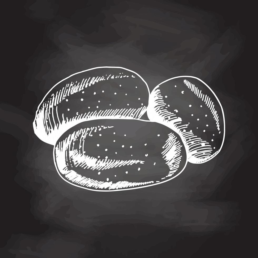 vetor mão desenhada batata contorno doodle ícone. esboço branco isolado na lousa preta. ilustração em vetor vintage de comida ecológica.
