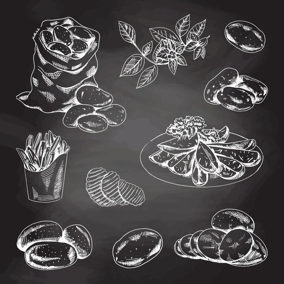 estilo de esboço desenhado à mão ilustração definida de batatas maduras. esboço branco isolado na lousa preta. ilustração em vetor vintage de comida ecológica.