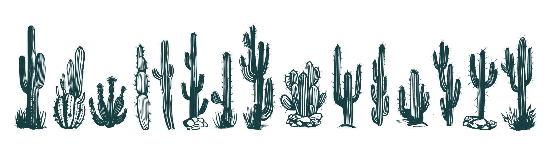 conjunto de cactos ilustrações desenhadas à mão, vetor