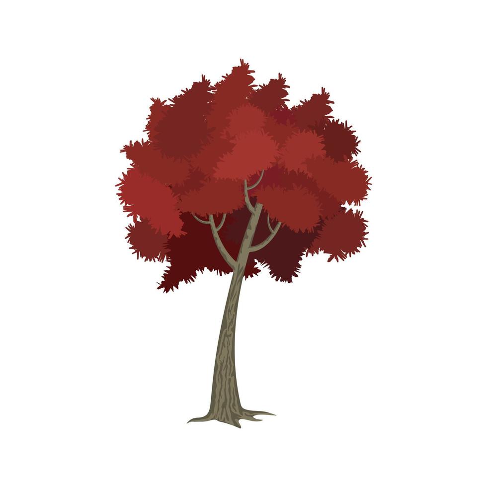 árvore de folha vermelha isolada no fundo branco vetor