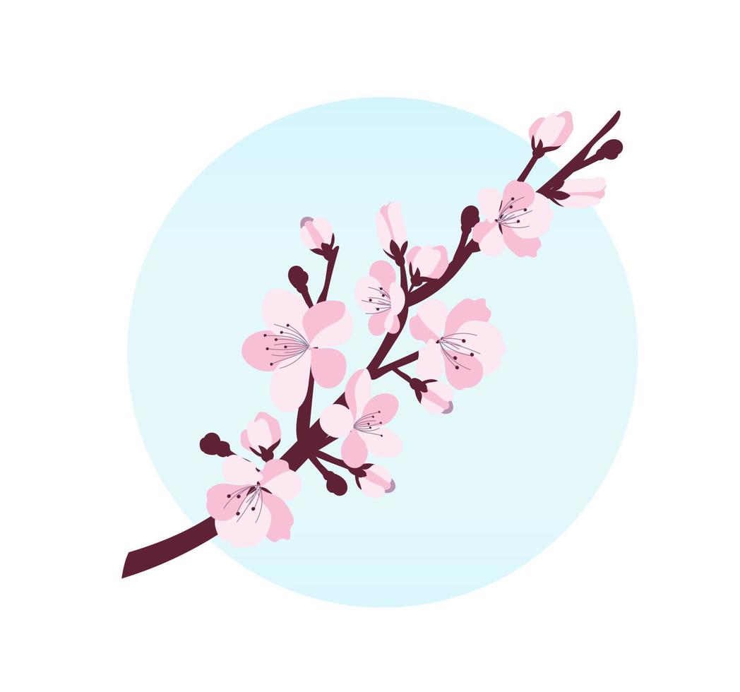 Flor de cerejeira. um ramo com flores de cerejeira isoladas em um fundo branco. ilustração vetorial vetor
