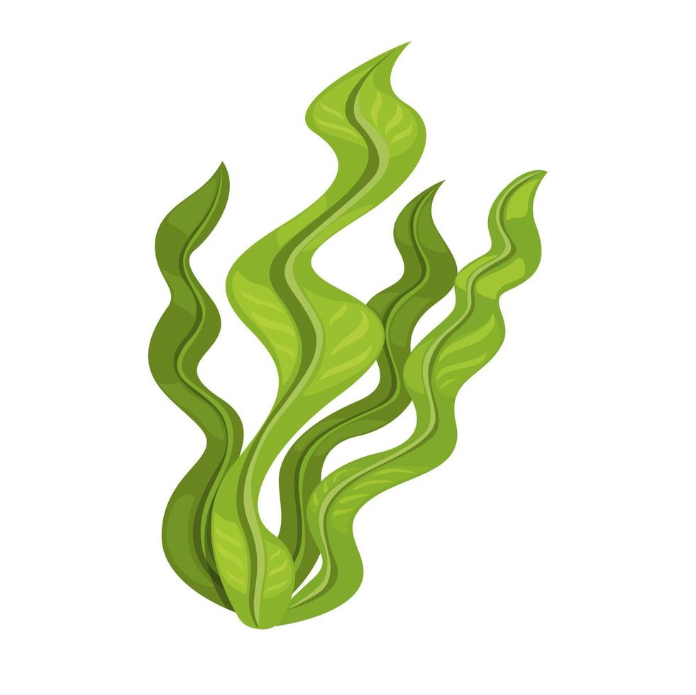 vetor de ilustração de desenhos animados de símbolo de planta de algas