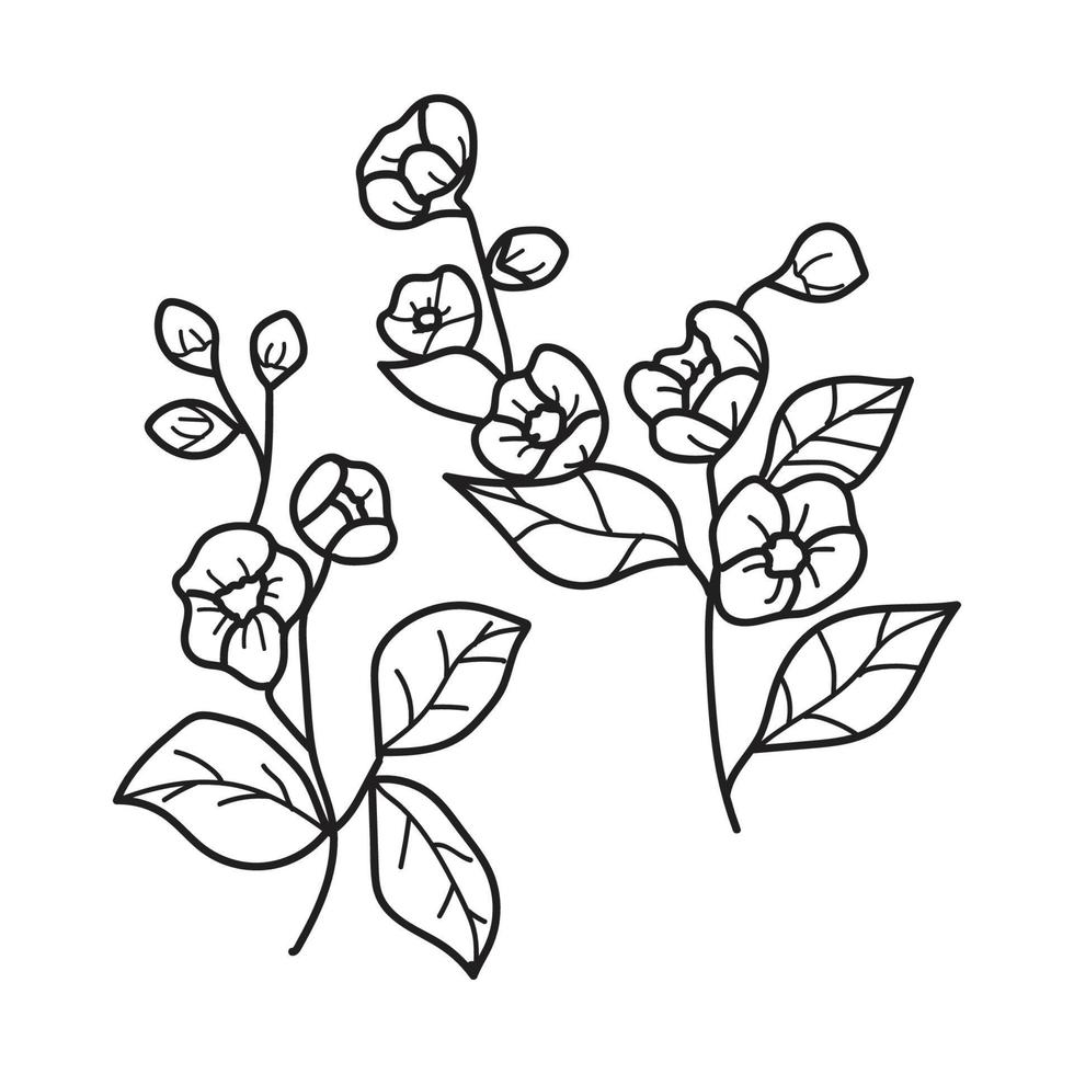 conjunto coroa de flores com folhas e bagas, elemento de design de coroa de louros, mão simples desenhada para convite de casamento, cartão de felicitações, flores isoladas no fundo branco. vetor