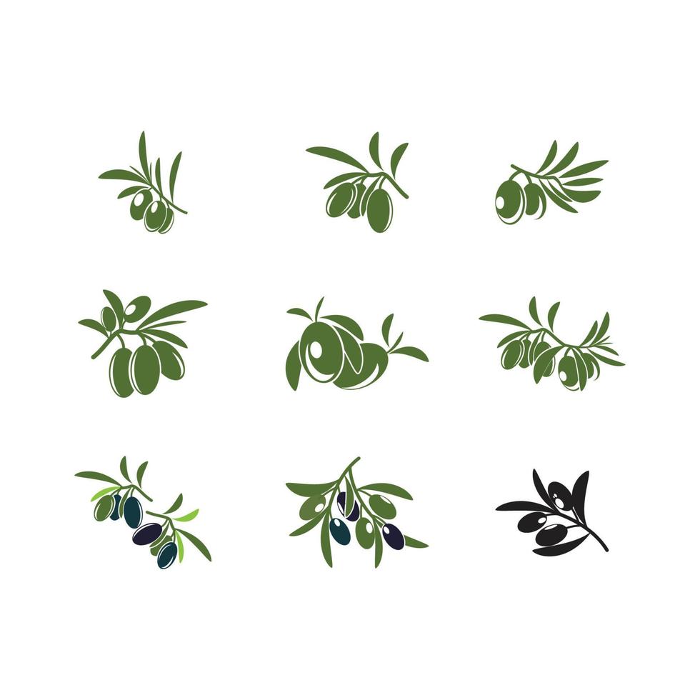 modelo de design de símbolo de ilustração vetorial de ícone verde-oliva vetor