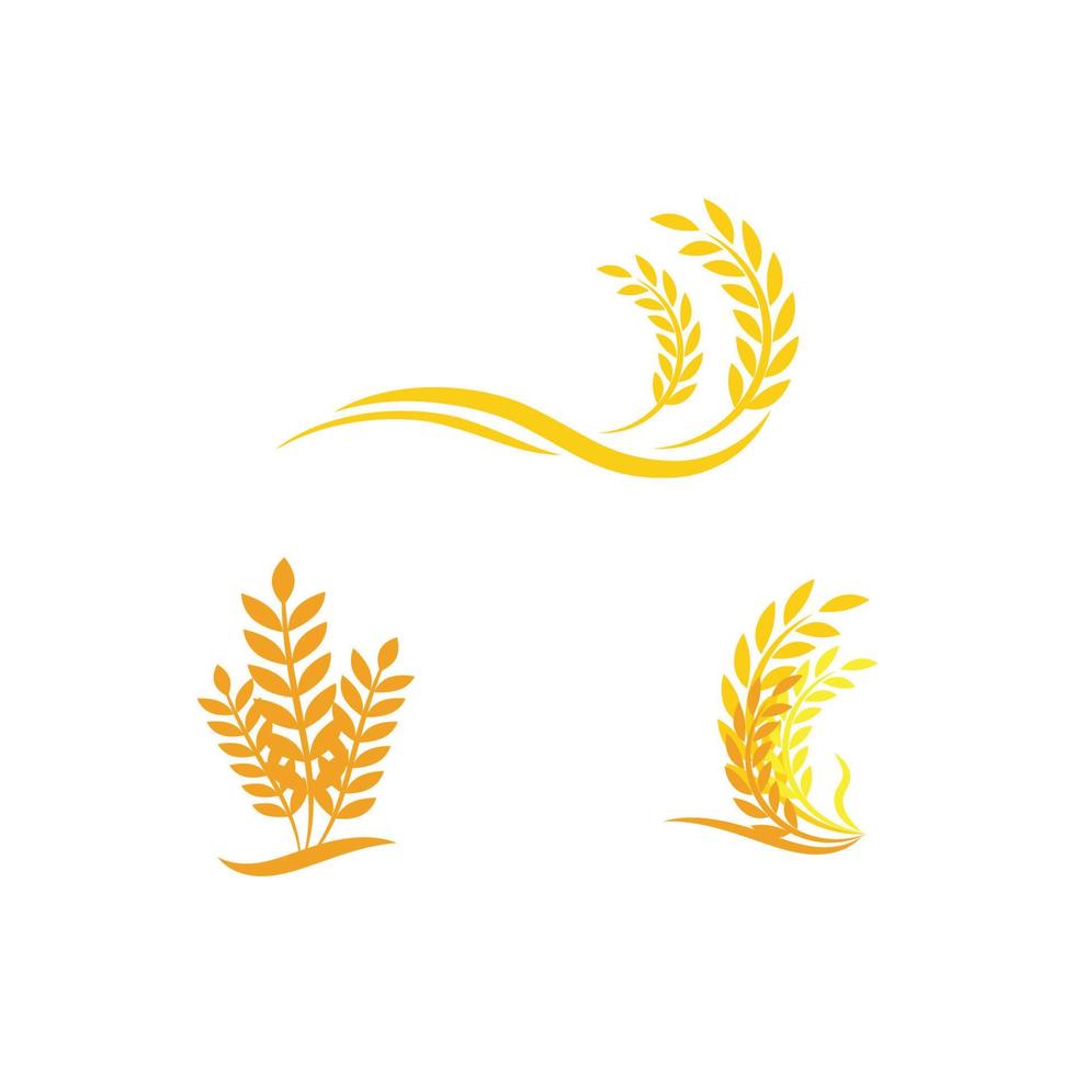 vetor de design de logotipo de arroz de grão dourado de luxo