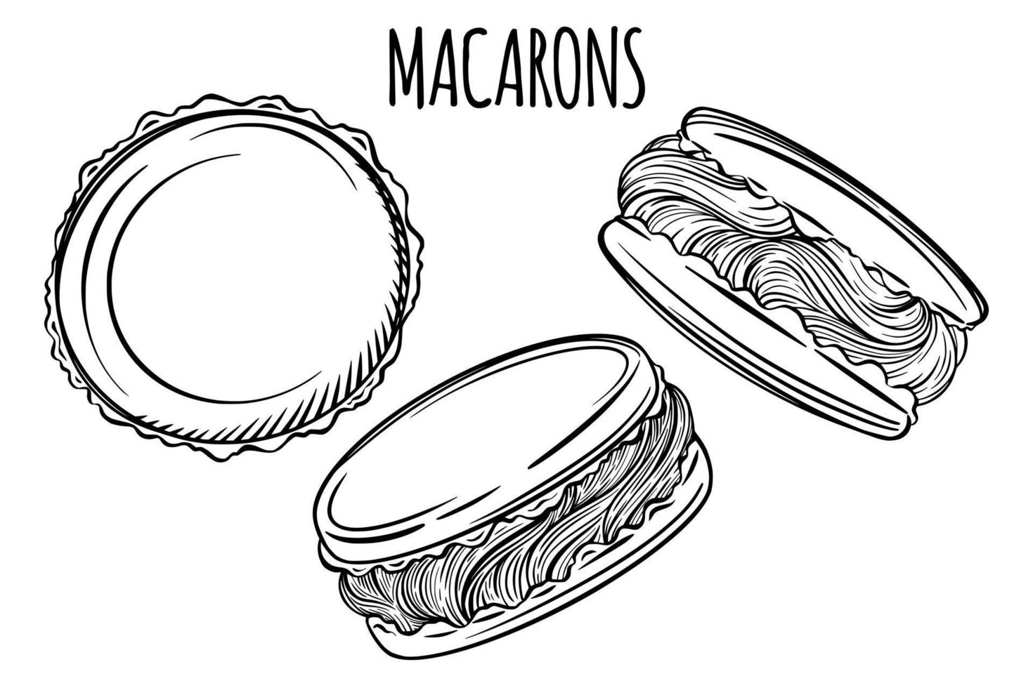 macarons franceses desenhados à mão fresca para padaria ou confeitaria. vetor