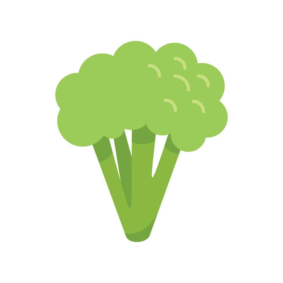 vetor plano de ícone de bando de brócolis. repolho vegetal