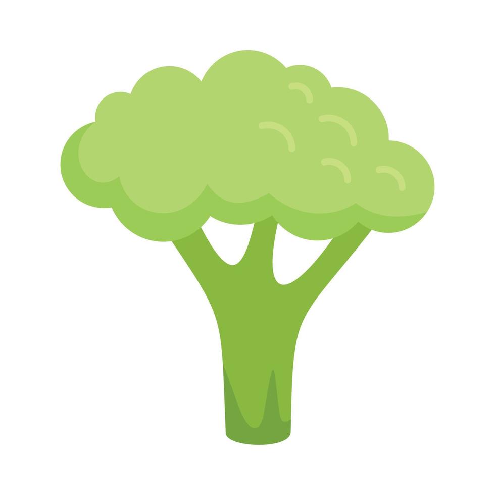 vetor plano de ícone de brocolis doce. repolho brócolis