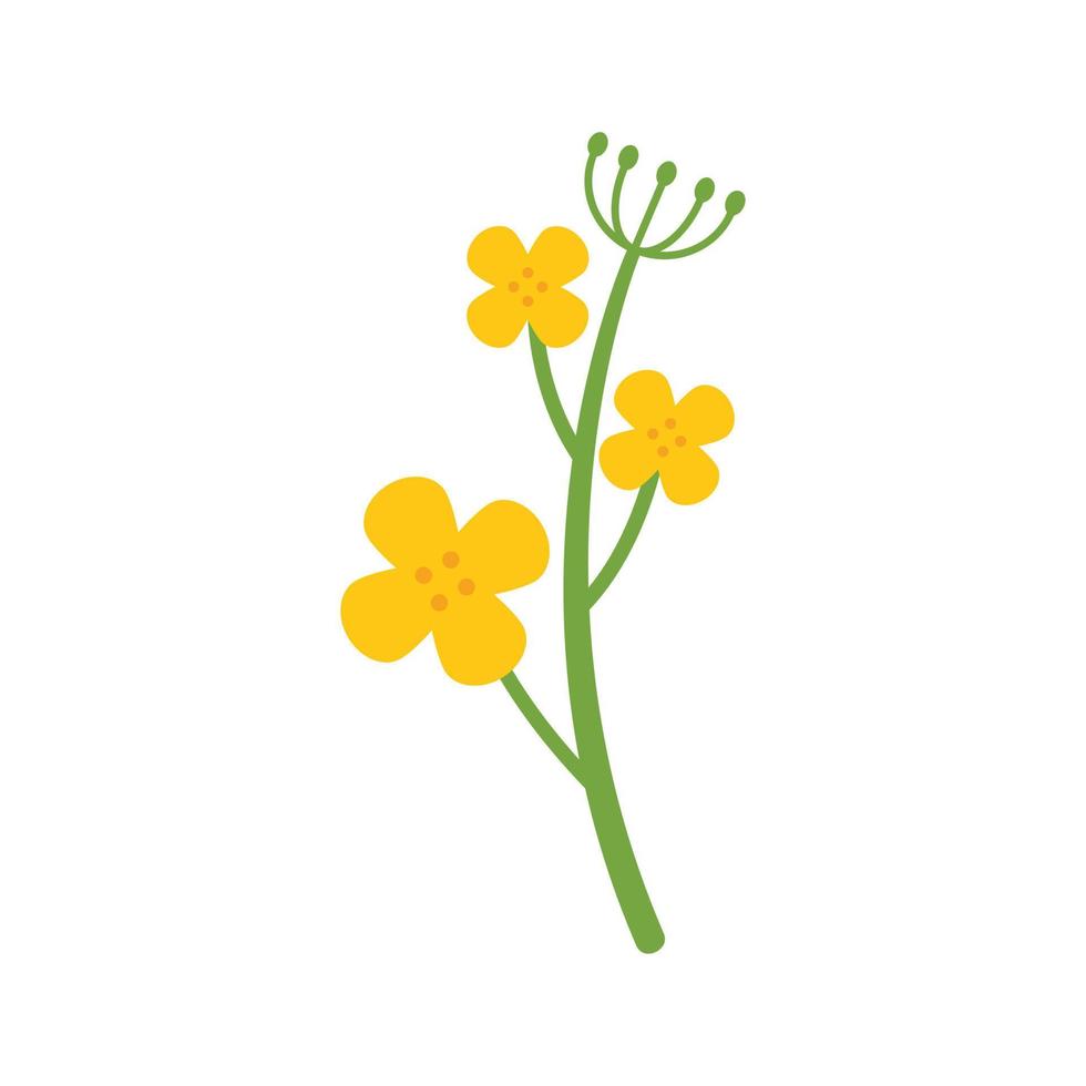 vetor plana do ícone da planta canola. flor de óleo