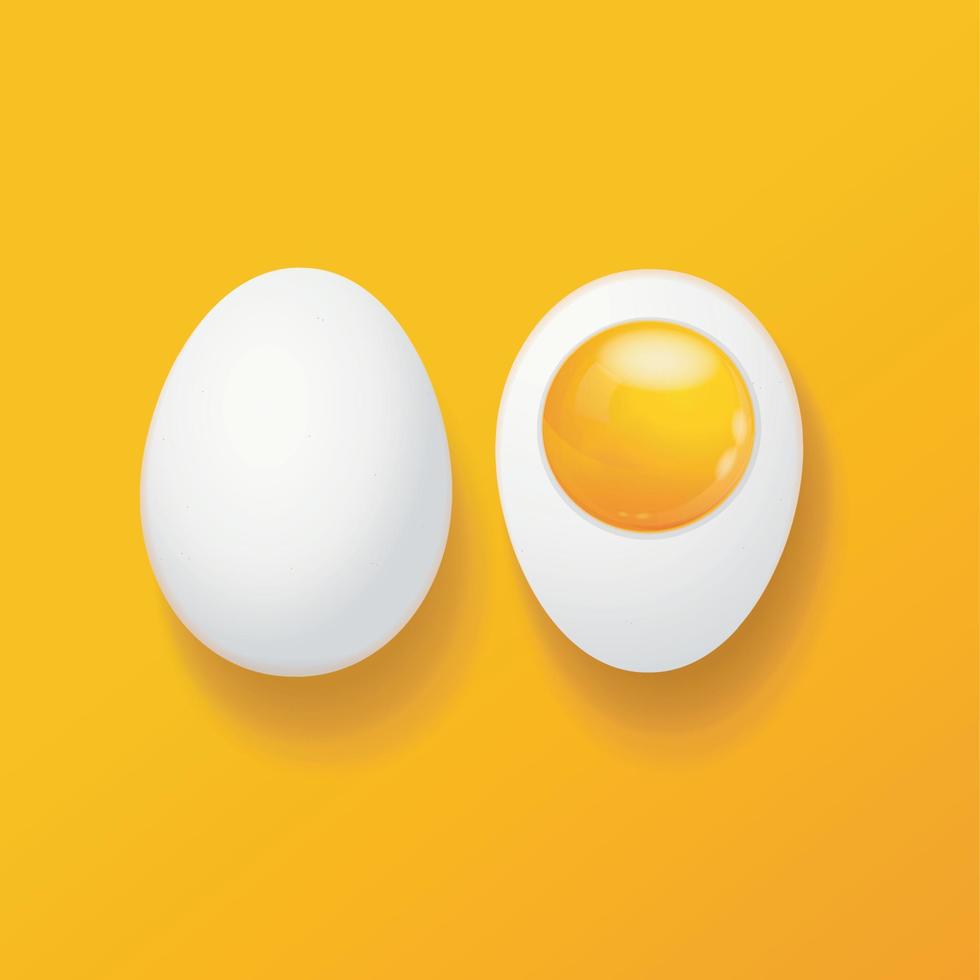 ovo de galinha inteiro 3d detalhado realista e meio conjunto. vetor