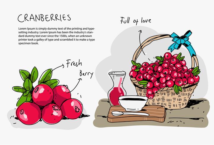 Ilustração vermelha do vetor do Doodle desenhado mão dos Cranberries vermelhos