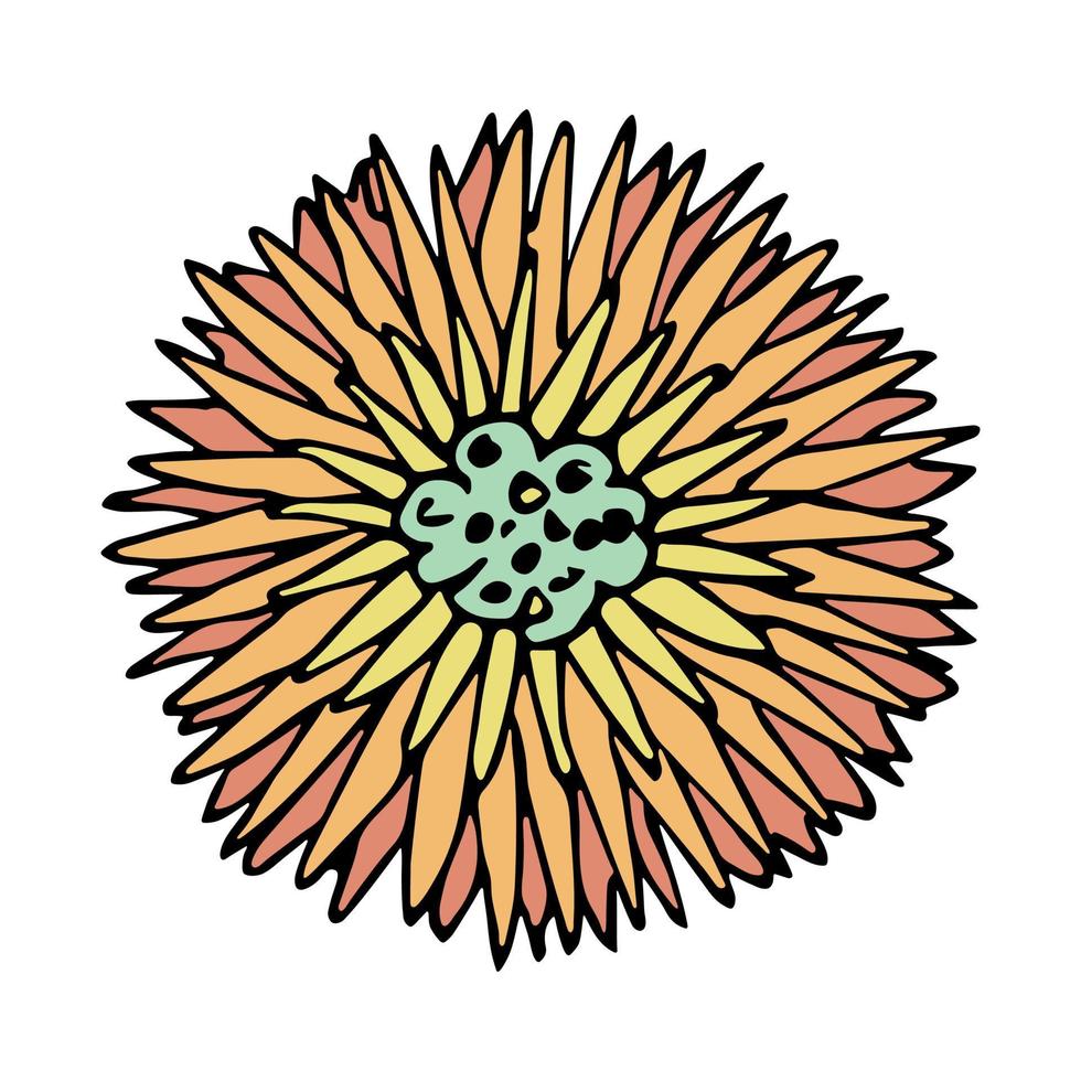 clipart de flor simples. rabisco floral desenhado à mão. para impressão, web, design, decoração, logotipo vetor