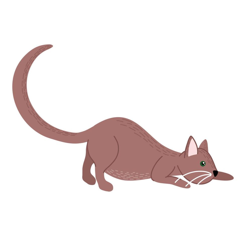 gato doméstico está caçando. vida ativa do gato. pose de animal. mão desenhada ilustração vetorial isolada no branco. vetor