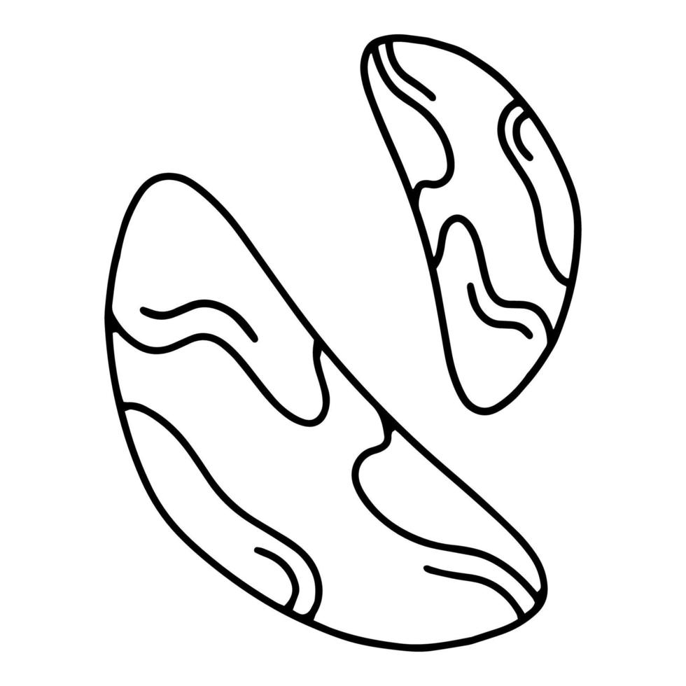 castanha do Brasil em um ícone de desenho linear simples de casca em estilo doodle vetor