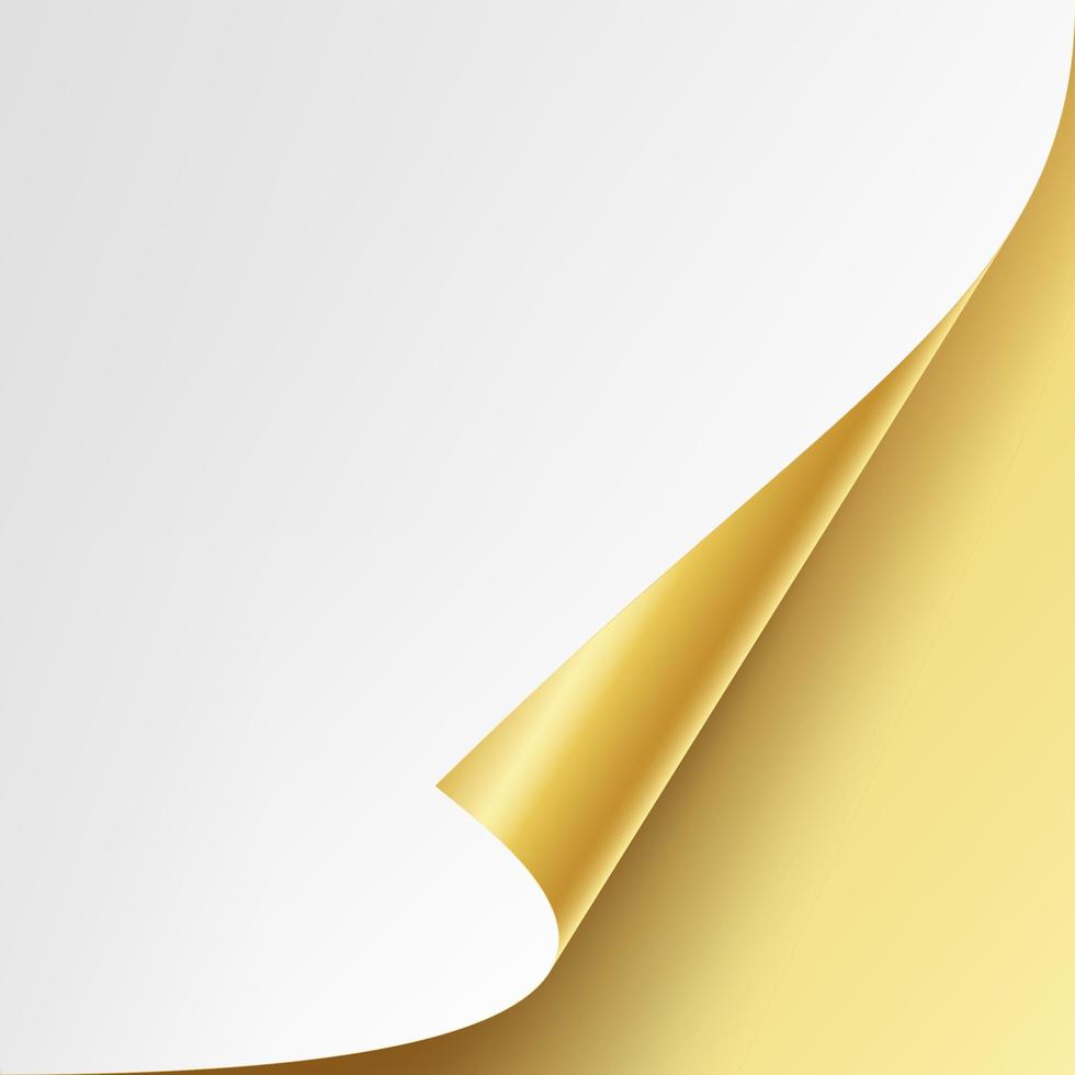 vetor de canto metálico dourado enrolado. papel branco com simulação de sombra de perto isolado