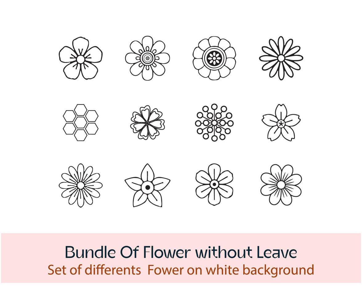 coleção de flores e ervas desenhadas à mão flores desabrochando para presente ou padrão. coleção de elementos de design decorativo floral, cachos de flores coloridas isolados no fundo branco vetor