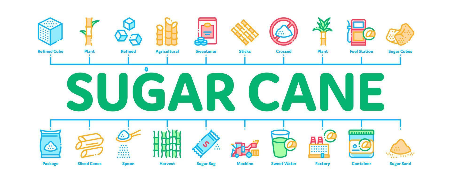 vetor de banner infográfico mínimo de cana de açúcar