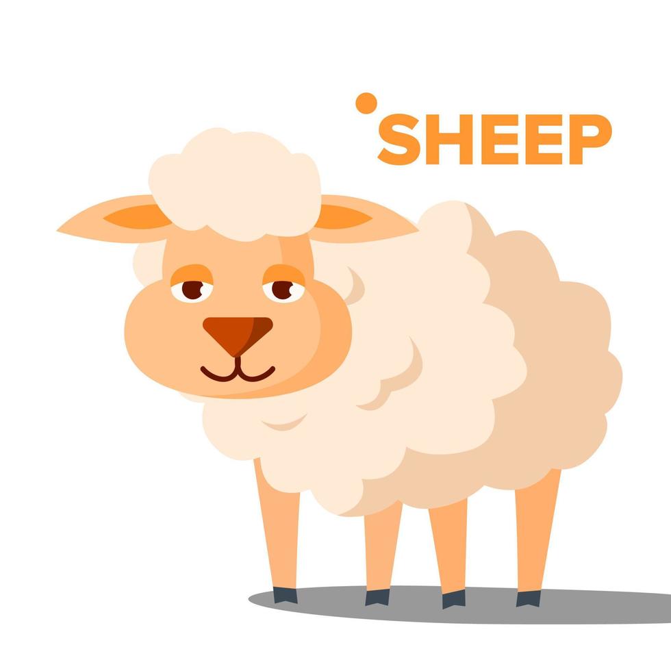 vetor de ovelhas. animal engraçado isolado ilustração plana dos desenhos animados