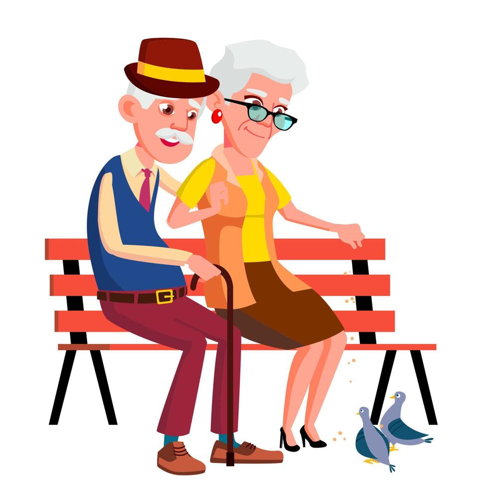 casal de idosos sentado no banco no verão, vetor de parque outono. ilustração isolada