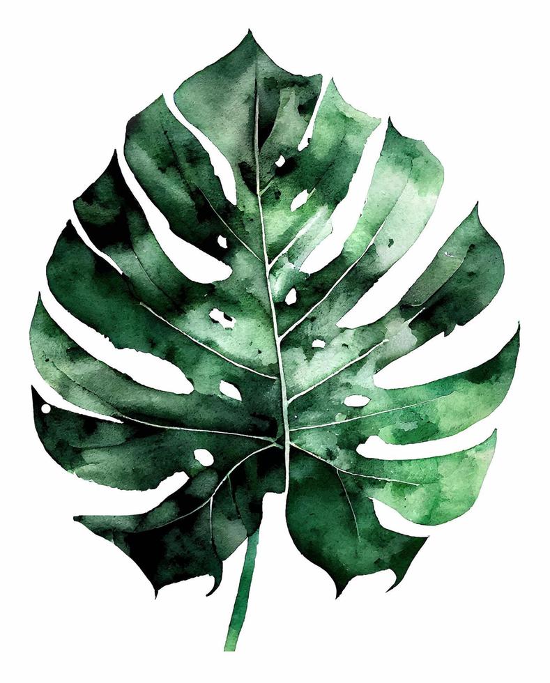 folha de monstera natural aquarela verde vetor